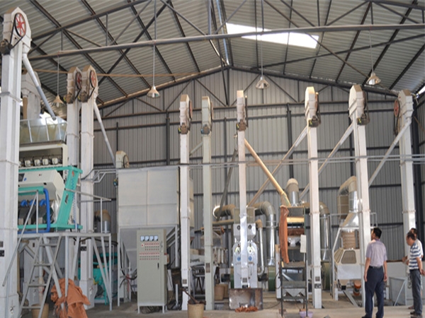 Complete set of coffee bean processing equipment