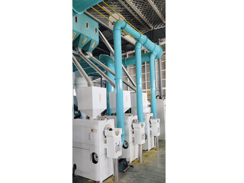 Shanxi Qingxu Xiaomi Processing Equipment