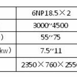 6NP系列双辊抛光机